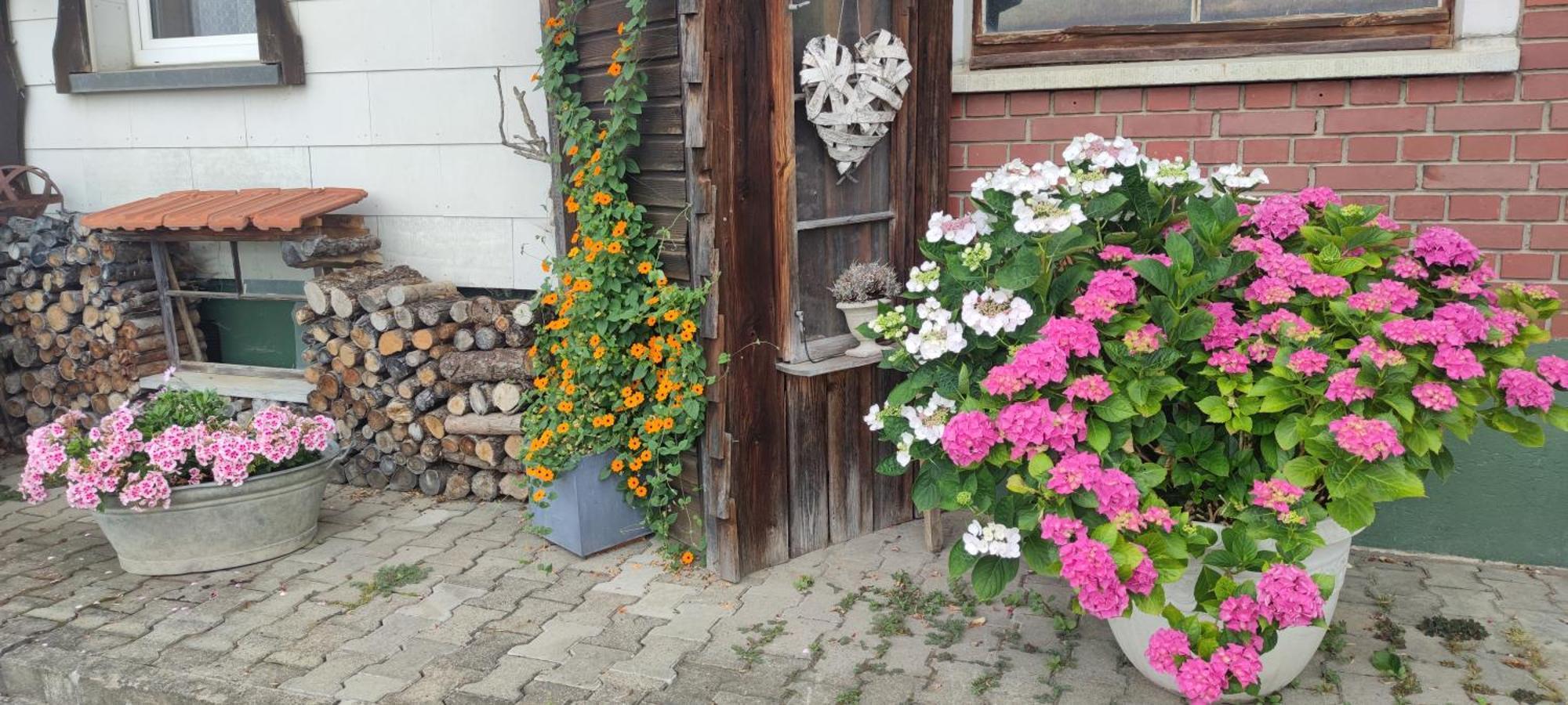 Gaestehaus Fechtig Hergensweiler Екстериор снимка