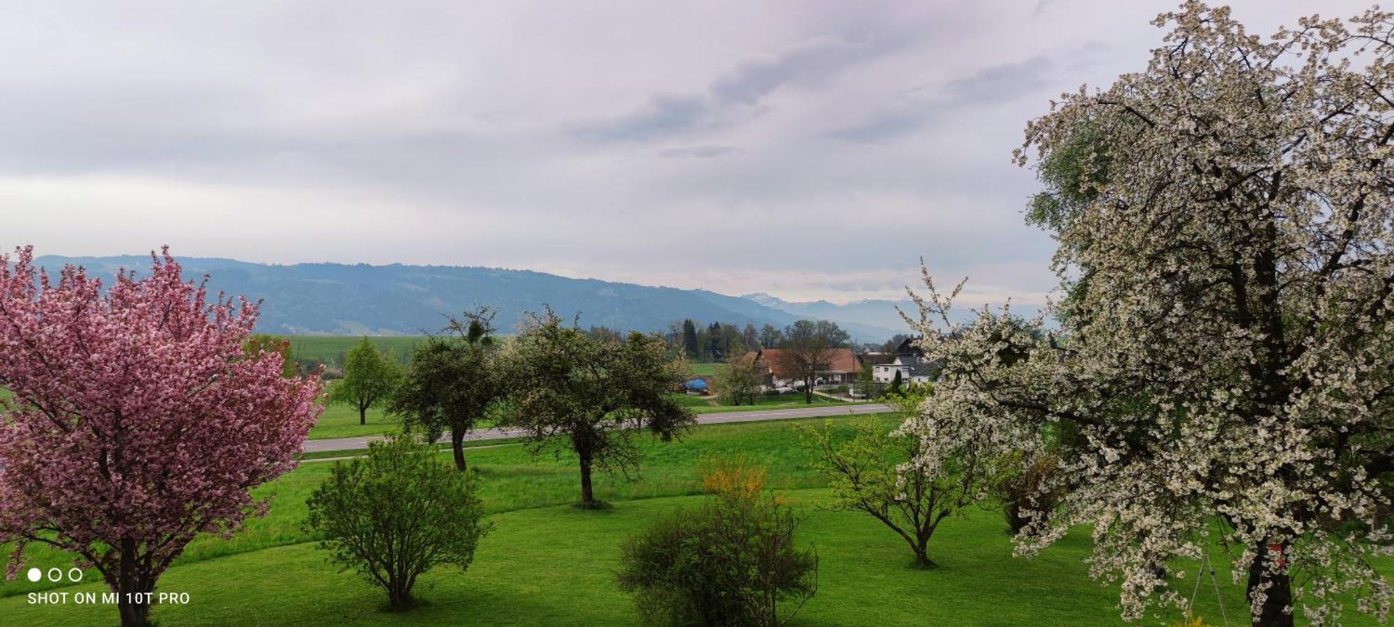 Gaestehaus Fechtig Hergensweiler Екстериор снимка